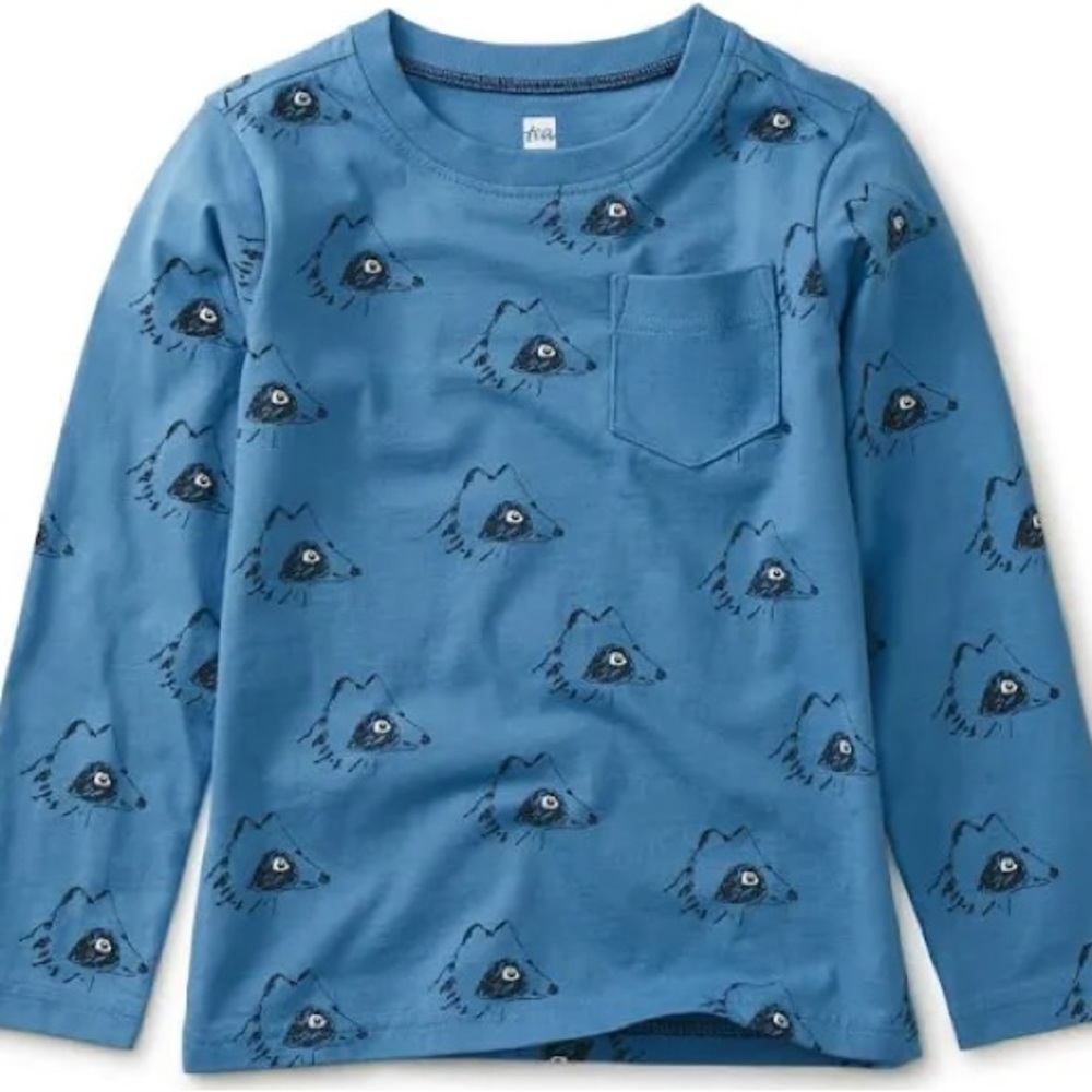 Boy’s Tea Collection Long Sleeve Tanuki Printed Pocket Tee, Size 10